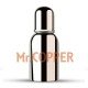 Stainless Steel Feeding Bottle(Dual Nipple), Leak Proof Cap