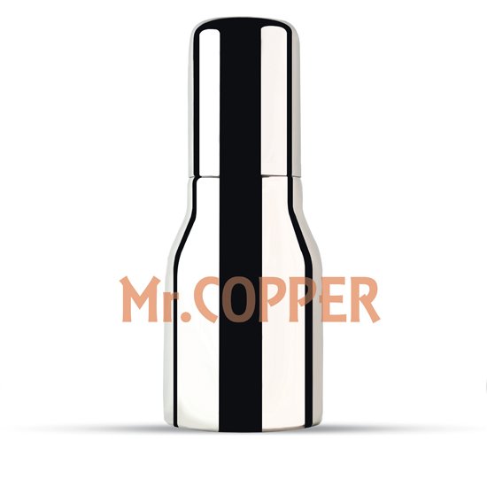 Stainless Steel Oil Pourer / Dispenser, Dual Cap 